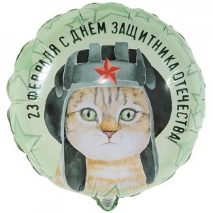 Круг с рисунком "С днем защитника отечества" Кот в шлеме